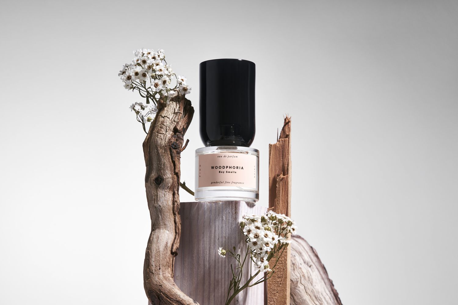 Boy Smells Woodphoria