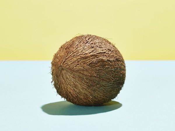 coconut on blue and yellow background