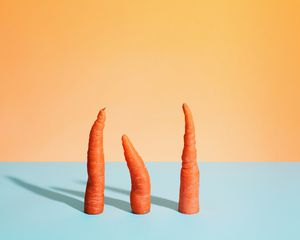 Three cut carrots standing on a flat surface
