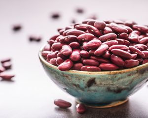 Adzuki Beans Skincare Ingredients