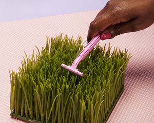 Hand taking razor to grass