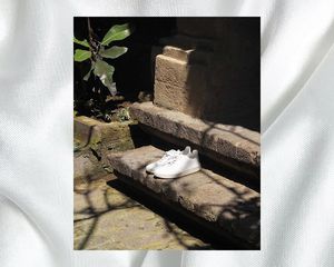 How to Clean White Sneakers Veja