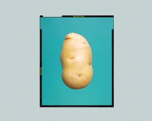 potato