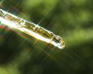 Oil dropper in the sunlight.