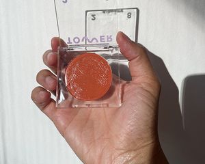 tower 28 tinted balm