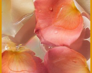 Eco Awards 2022 Under $25 Winners